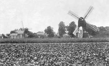 Forncett End postmills c.1914