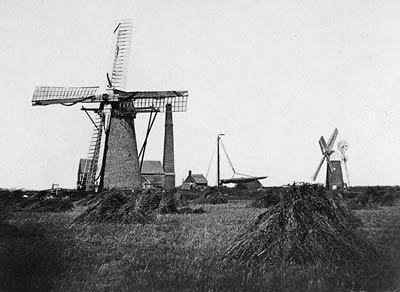 Drainage mill in foreground with cornmill behind c.1890