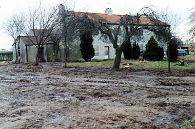 Mill site 1990