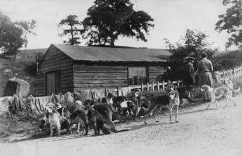 Bure Valley Otter Hounds at Bintry in 1910