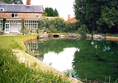 Mill pond June 2007