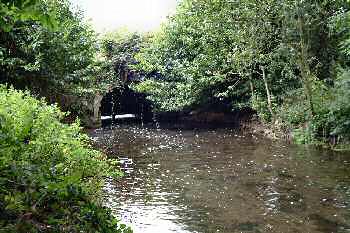 Tailrace 25th August 2003