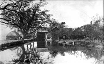 Mill dam c.1900