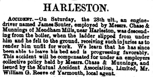 Norfolk News - 11th November 1882