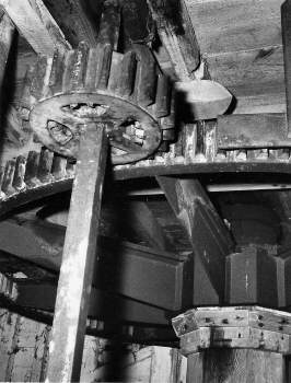 Stone nut and spur wheel 1994