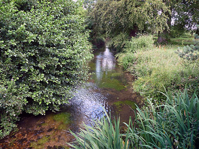 Mill tailrace 24th July 2011