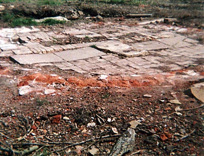 Mill remains 9th June 2005