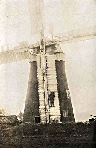 Ludham High towermill