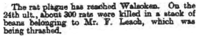 Stamford Mercury - 1st August 1890