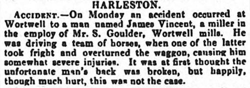 The Ipswich Journal - 22nd September 1877