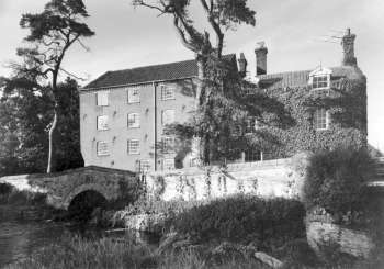 Creeper over the house in the 1950s