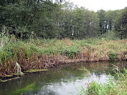 Cutting Off the Old River Course