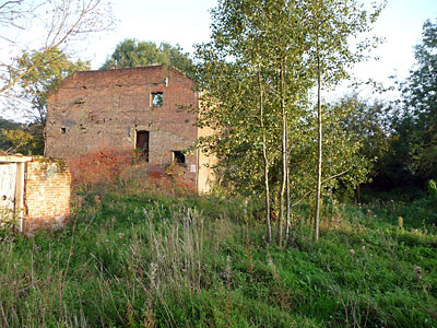 Site wildlife regeneration 12th October 2008