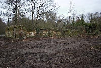 Site cleared around remains of watermill 13th January 2008
