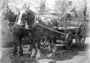 Fred Grix with the delivery waggon c.1928