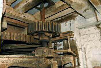 Stone nut out of mesh from the spur wheel