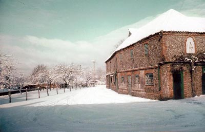 Looking towards the road 1954