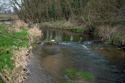 Millpond 28th March 2004