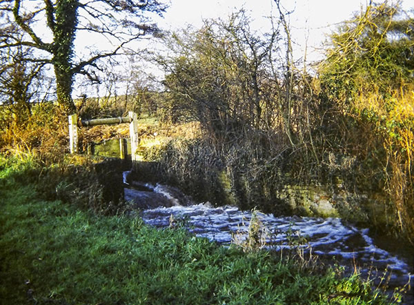 Bypass 1978