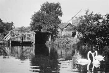 Dilham staithe & windmill