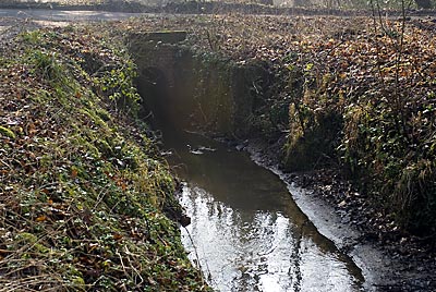 Mill site 18th February 2008 