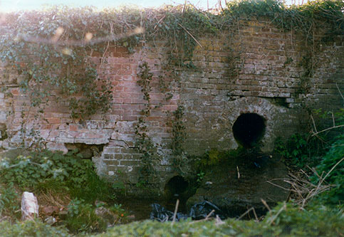 Mill wall 1977