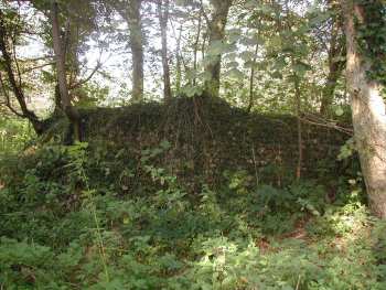 One remaining wall of the Mill Cottages 29th Sept 2002