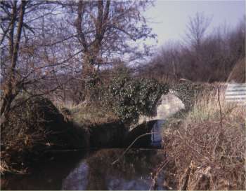 The headrace April 1968