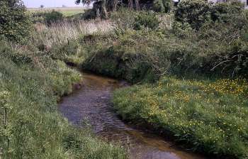 The headrace in June 1967 