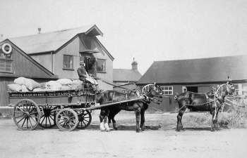 Woods, Sadd, Moore & Co's horse waggon c.1905