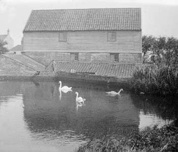 Millpond c.1890