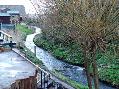 River Mun just below the mill 9th March 2009 