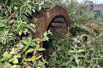 Waterwheel 30th June 2003