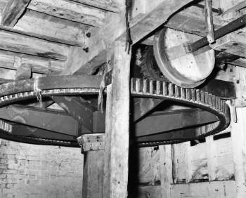 Spur wheel 1994