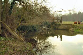 Mill dam 6th March 2004