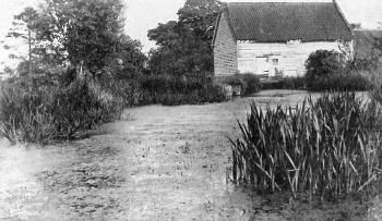 Mill dam c.1935