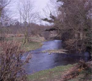 Lower millpool March 1968